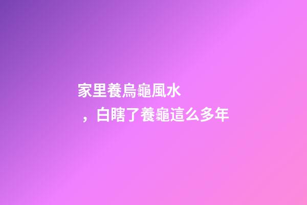 家里養烏龜風水，白瞎了養龜這么多年-第1張-觀點-玄機派